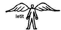 fly.gif (3062 bytes)
