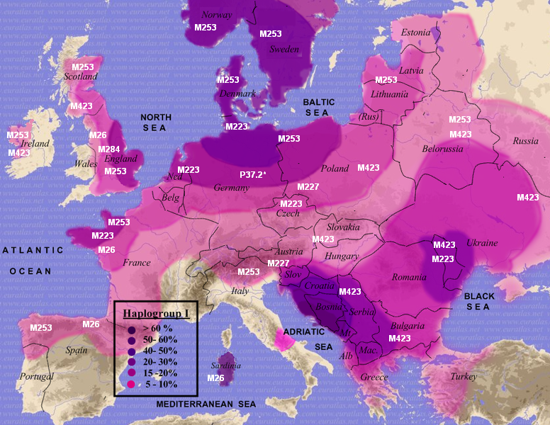 Haplogroup_I.png (990251 bytes)