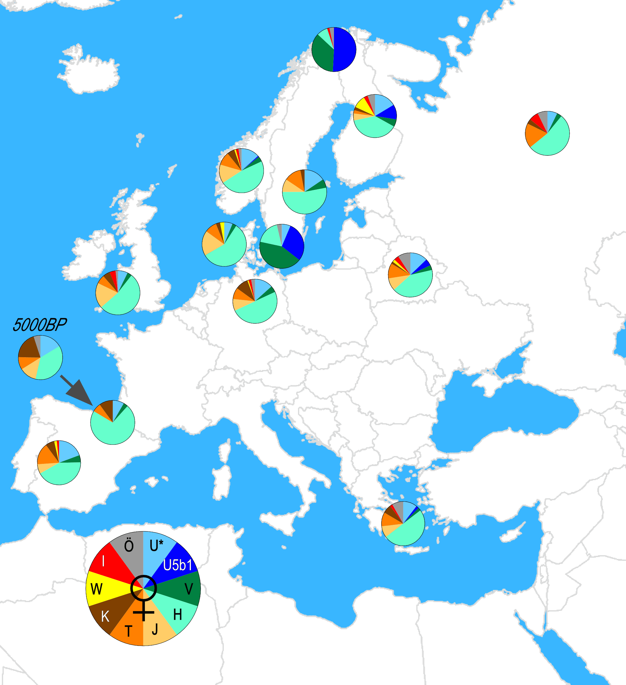 eur-mtdna.png (166508 bytes)